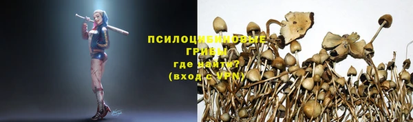 прущая мука Лагань