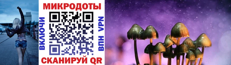 Псилоцибиновые грибы прущие грибы  закладки  Нестеров 